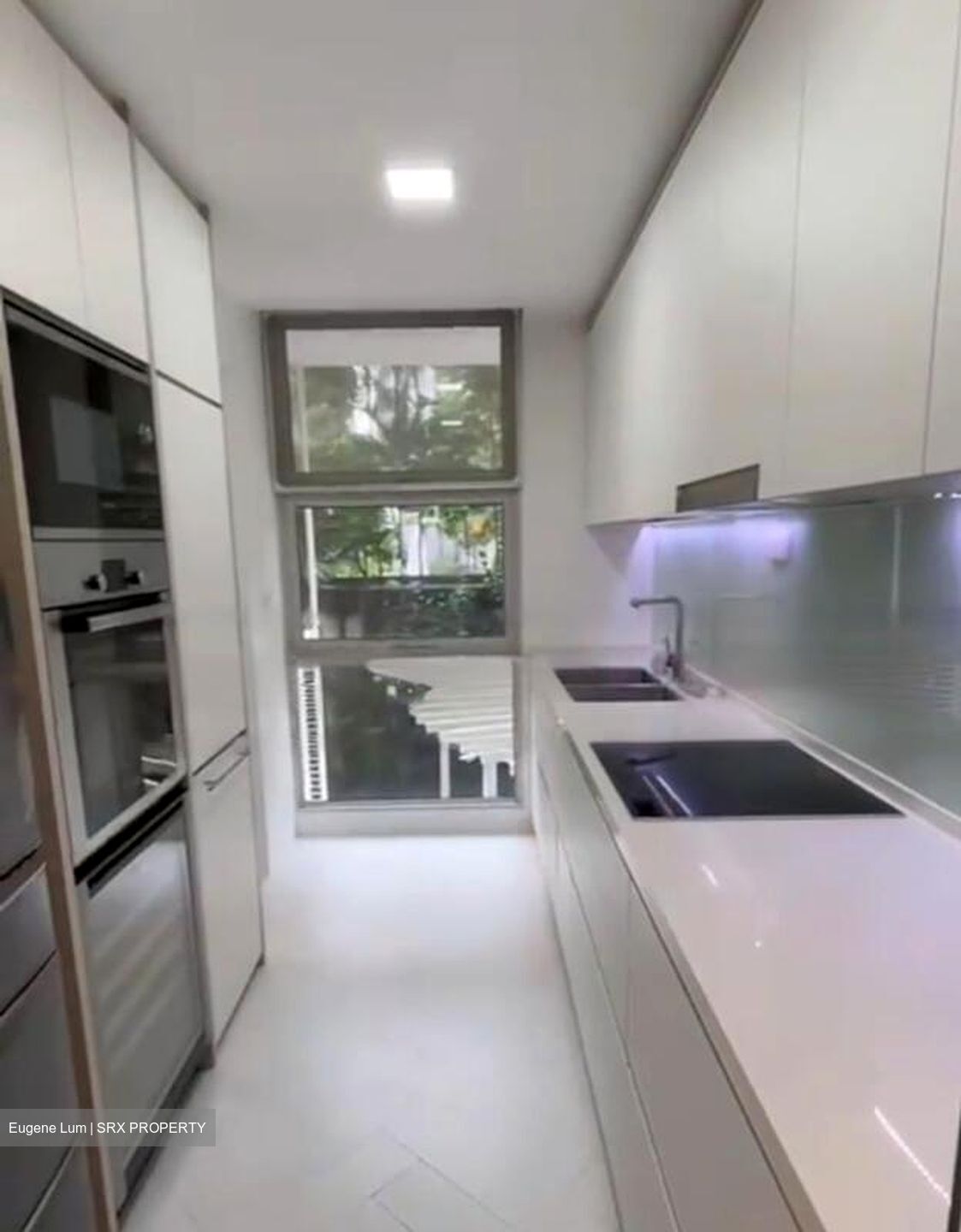 Belmond Green (D10), Condominium #486150621